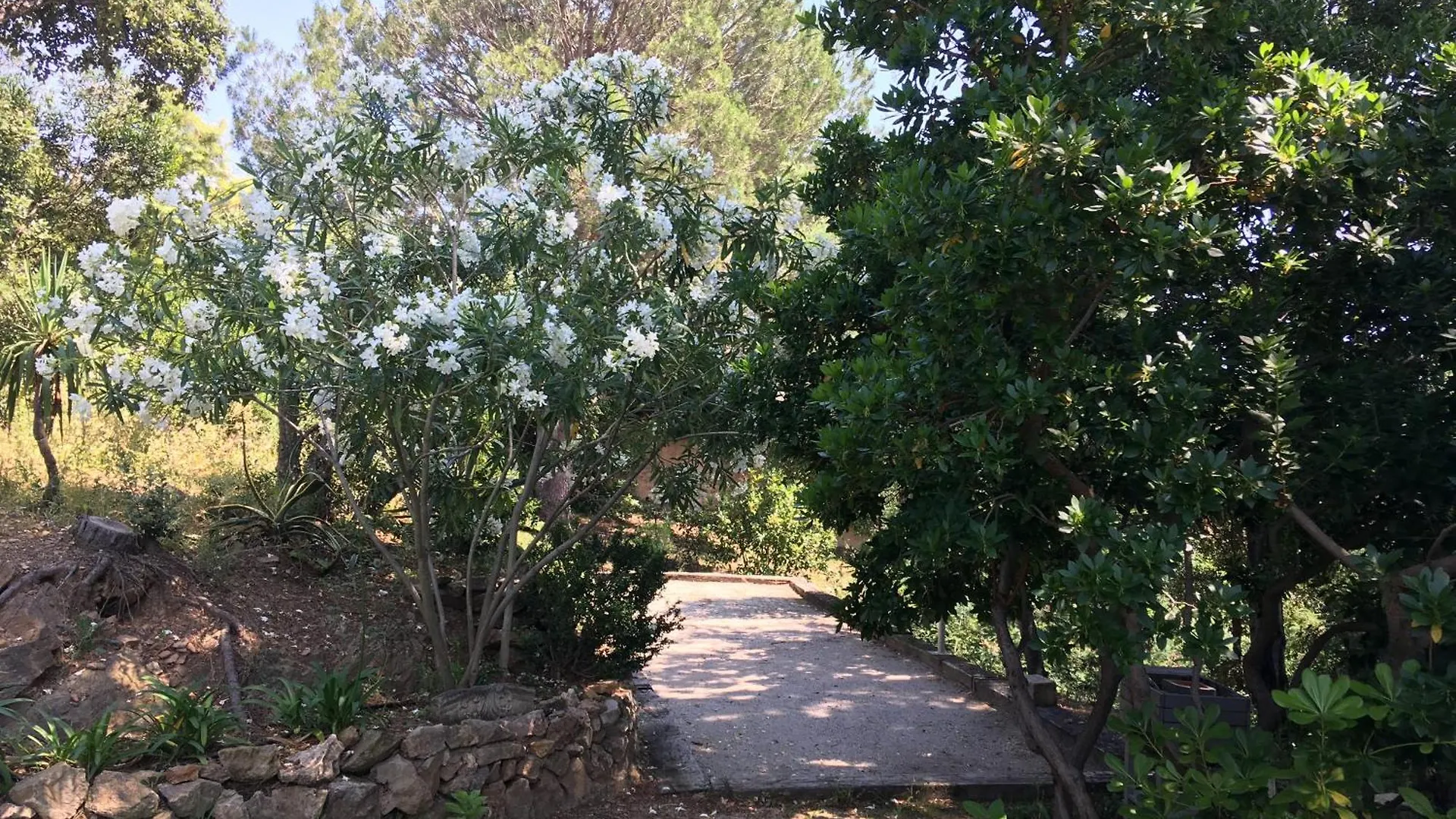 La Tramontane, Propriete Sainte-Maxime Avec Piscine, Proche Plage